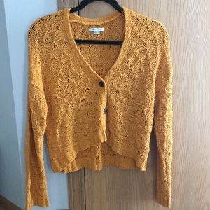 American Eagle cardigan
